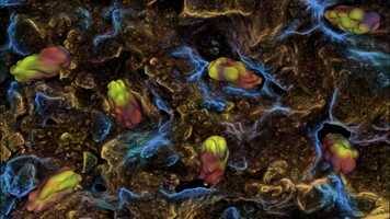 Free download Bactrias [Bacterias] video and edit with RedcoolMedia movie maker MovieStudio video editor online and AudioStudio audio editor onlin